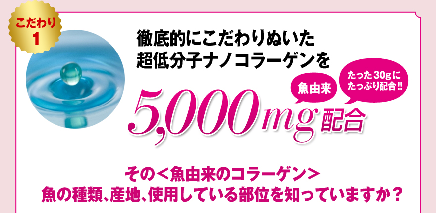 OIɂʂ ᕪqimR[Q5000mgz