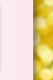 1ɒᕪqimR[Q5,000mgzu[c[GLXgER[Qv