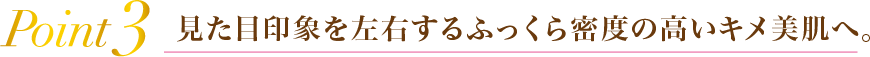 Point3見た目印象を左右するふっくら密度の高いキメ美肌へ