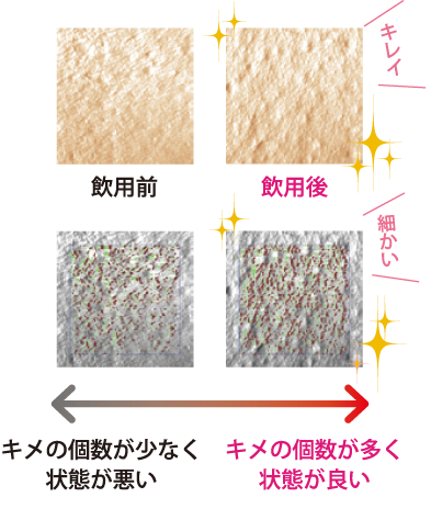 飲用後のキメ　比較　キレイ　細かい