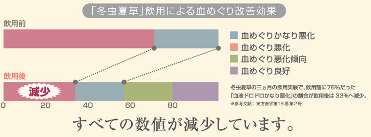 「冬虫夏草」飲用による血めぐり改善効果